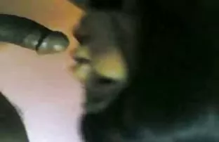 XXX Với mái tóc dài vào ngày đầu tiên, cho tóc xám khốn